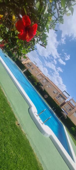 Bungalow Avec Piscine Torrevieja Exterior photo